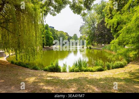 Schöner Teich umgeben von grünen Bäumen im Leopold Park in Brüssel-Stadt, Belgien Stockfoto