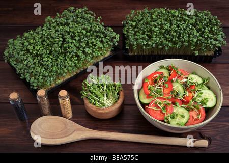 Frischer Radieschen-Senf-Microgreens-Salat mit Tomaten und Gurken Stockfoto