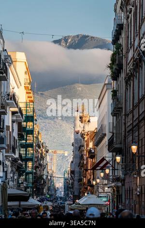 Via Maqueda, (Strada Nuova), Palermo, Sizilien, Italien, Europa Stockfoto