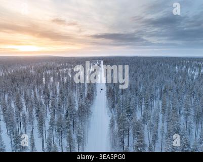 Aus der Vogelperspektive eines schneebedeckten Nadelwaldes mit einer geraden Straße unter einem weichen Sonnenuntergangshimmel in Lappland, Finnland. Stockfoto
