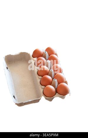 Frische braune Bio-Eier aus biologischer Produktion in einem offenen Karton, isoliert auf weißem Hintergrund Stockfoto