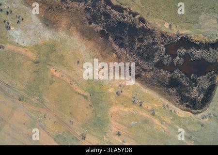 Abstrakte Muster eines trocknenden Sumpfes mit orangefarbenen Schilf und dunklen Wasserstrukturen in einer ländlichen Landschaft. Dieser einzigartige natürliche Hintergrund beleuchtet Themen wie Dürre und Umweltveränderungen, aufgenommen mit hochauflösenden Drohnenaufnahmen. Stockfoto