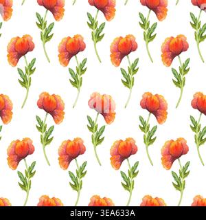 Orangefarbener Mohn in Blüte, nahtloses Aquarellmuster. Farbenfroher handgezeichneter Blumenstrauß aus lebendigen Wildblumen. Ornament mit Blumen und grüner Pflanze Stockfoto