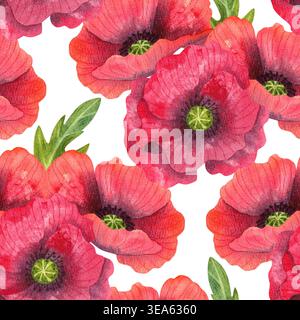 Frischer roter Mohn, nahtloses Aquarellmuster. Farbenfroher handgezeichneter Blumenstrauß aus lebendigen Wildblumen. Verzierung mit Blumen und Pflanzen für Drucke Stockfoto