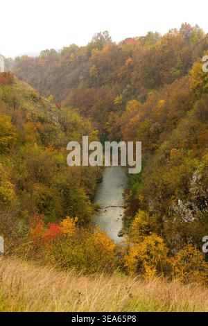 Nationalpark Plitvicer Seen, UNESCO-Weltkulturerbe. Korana Fluss und Buchen (Fagus sylvatica) im Herbst. County Lika-Senj und County Karlovac, C Stockfoto
