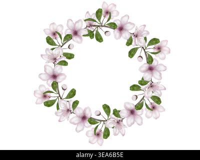 Aquarellmalerei von Sakura-, Kirsch- und Mandelblüten in einem runden Rahmen. Blühender Zweig rosa Blüten im Frühling. Handgezeichnete Aquarellzeichnung Stockfoto