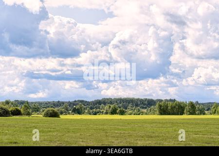 Weitwinkellandschaft mit einer riesigen grünen Wiese unter dramatischem Himmel, gefüllt mit großen, flauschigen weißen Cumuluswolken. Die dichte Waldlinie liegt auf dem Hori Stockfoto