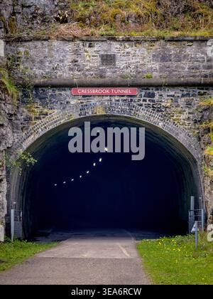 Eintritt zum Cressbrook Tunnel auf dem Monsal Trail im Peak District National Park, Derbyshire, England. Stockfoto
