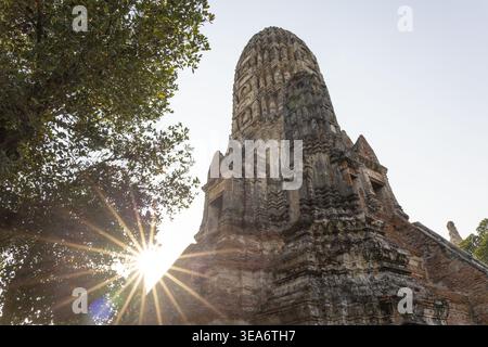 Majestätische antike Tempelruine wat ayutthaya thailand friedliche Atmosphäre Sonnenstrahlen durch grüne Äste, die historische Ziegelstupa hervorheben Stockfoto
