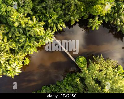 Blick aus der Vogelperspektive auf eine hölzerne Fußgängerbrücke bei Anse Soleil über einen dunklen Fluss, umgeben von dichten tropischen Palmen und üppiger Vegetation mit einer Person in Rot i Stockfoto