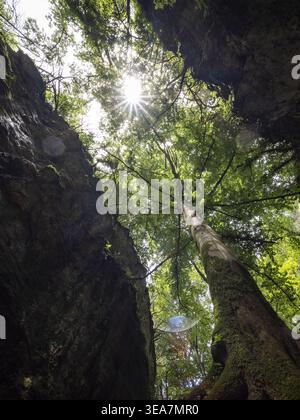 Gueulards Canyon, Drôme-Tal, Regionaler Naturpark Vercors, Frankreich, Europa Stockfoto