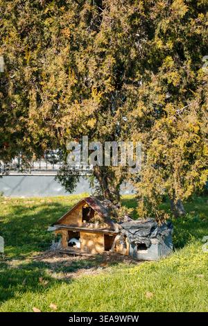 Zart Gefertigter Miniatur-Holzunterstand Für Tiere In Bezaubernder Gartenumgebung Stockfoto