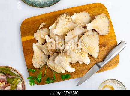 Zubereitung von Suppen oder anderen Gerichten aus frischen Austernpilzen in der Küche Stockfoto
