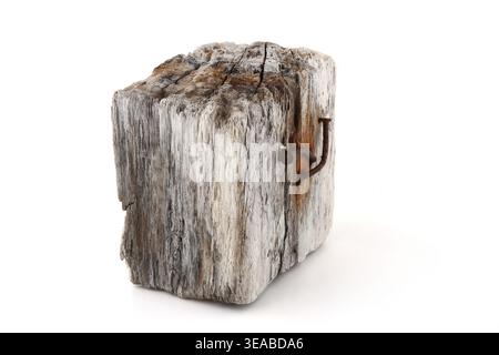 Treibholz isoliert auf weißem Hintergrund. Ein Stück Seeholz. Stockfoto
