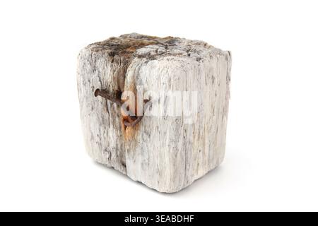 Treibholz isoliert auf weißem Hintergrund. Ein Stück Seeholz. Stockfoto