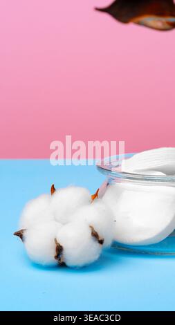 Baumwoll- und Wattepads in einem Glasgefäß auf blauem Hintergrund mit rosa Hintergrund Stockfoto