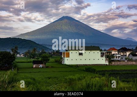 Vulkan Mount Agung mit Reisfeldern im Vordergrund, Bali, Indonesien Stockfoto
