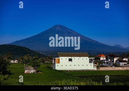 Vulkan Mount Agung mit Reisfeldern im Vordergrund, Bali, Indonesien Stockfoto