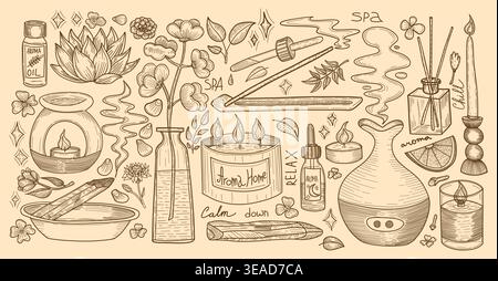 Vektor Blume Vintage mit Illustration Skizze isoliert für Zeichnung Linie Blumen. Grafik-Design-Kunst mit Vektor-Spa-Pflanze für Naturblatt Retro Stock Vektor