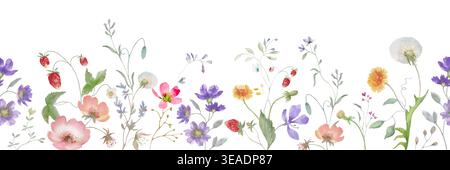 Aquarellflorale nahtlose Grenze Wildblumen, Feldkräuter, Löwenzahn und Erdbeeren. Handgemalter botanischer horizontaler Rahmen auf weißem Hintergrund. Stock Vektor
