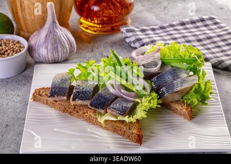 Vorspeise mit eingelegtem Hering auf dunklem Roggenbrot mit Salat und Zwiebeln. Serviert auf einem weißen Teller auf grauem Hintergrund mit Knoblauch und Gewürzen. Rustikales Foo Stockfoto
