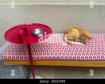 Ginger Tabby-Katze schläft auf gemusterter Sitzbank neben rotem Café-Tisch, Kairo, Ägypten Stockfoto
