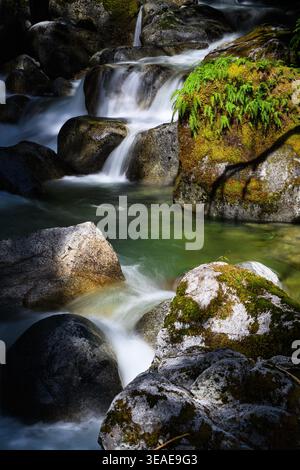 Bergbach fällt in seidener Zeitlupe über Felsbrocken in der Waldsonne Stockfoto