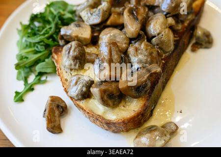 Knoblauchpilze auf geröstetem Sauerteigbrot mit Knoblauchrahmsauce in Nahaufnahme anbraten Stockfoto
