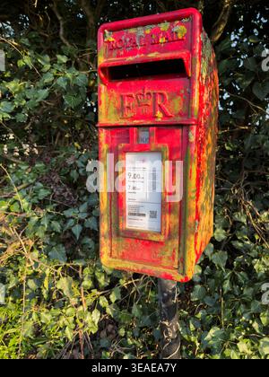 Shawbury, Shropshire, Großbritannien - 21. März 2026; verwitterter kleiner Briefkasten in der Hecke mit Queen Elizabeth-Vervielfältigung und Abholzeiten Stockfoto