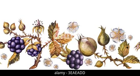 Brombeerzweige mit Beeren, Blättern und Blumen. Aquarellisolierter horizontaler nahtloser Rand Stockfoto