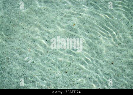 Flaches klares Wasser, das über den Sandboden fließt, mit sichtbaren Wellen, kleinen Kieselsteinen und Sonneneinstrahlung auf der Unterwasseroberfläche Stockfoto