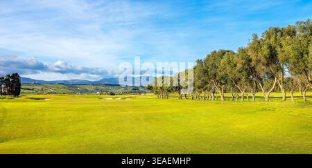 Panoramablick auf das grüne Feld mit Bäumen und Bergen in der Ferne. Sizilien, Italien Stockfoto