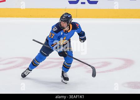 Toronto, Ontario, Kanada. April 2026. Defenderin Ella Shelton #17 der Toronto Sceptres während eines Spiels gegen die Toronto Sceptres und New York Sirens im Coca-Cola Coliseum am 21. April 2026 in Toronto, Kanada. (Kreditbild: © Leonardo Ramirez/eyepix via ZUMA Press Wire) NUR REDAKTIONELLE VERWENDUNG! Nicht für kommerzielle ZWECKE! Stockfoto