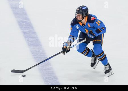 Toronto, Ontario, Kanada. April 2026. Defenderin Ella Shelton #17 der Toronto Sceptres während eines Spiels gegen die Toronto Sceptres und New York Sirens im Coca-Cola Coliseum am 21. April 2026 in Toronto, Kanada. (Kreditbild: © Leonardo Ramirez/eyepix via ZUMA Press Wire) NUR REDAKTIONELLE VERWENDUNG! Nicht für kommerzielle ZWECKE! Stockfoto