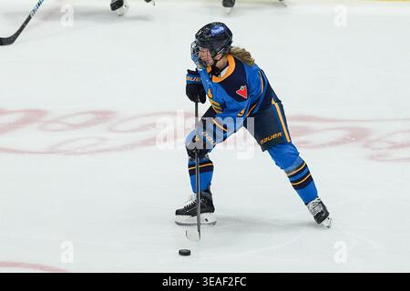 Toronto, Ontario, Kanada. April 2026. Stürmer Daryl Watts #9 von Toronto Septres skettet mit dem Puck während des PWHL-Spiels zwischen Toronto Septres und New York Sirens im Coca-Cola Coliseum am 21. April 2026 in Toronto, Kanada. (Kreditbild: © Leonardo Ramirez/eyepix via ZUMA Press Wire) NUR REDAKTIONELLE VERWENDUNG! Nicht für kommerzielle ZWECKE! Stockfoto