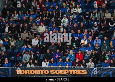 Toronto, Ontario, Kanada. April 2026. Fans der Toronto-Fans auf den Tribünen des Coca-Cola Coliseums während des PWHL-Spiels zwischen Toronto Sceptres und New York Sirens im Coca-Cola Coliseum am 21. April 2026 in Toronto, Kanada. (Kreditbild: © Leonardo Ramirez/eyepix via ZUMA Press Wire) NUR REDAKTIONELLE VERWENDUNG! Nicht für kommerzielle ZWECKE! Stockfoto
