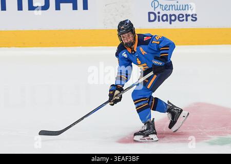 Toronto, Ontario, Kanada. April 2026. Defender Renata Fast #14 von Toronto Sceptres skettet mit dem Puck während des PWHL-Spiels zwischen Toronto Sceptres und New York Sirens im Coca-Cola Coliseum am 21. April 2026 in Toronto, Kanada. (Kreditbild: © Leonardo Ramirez/eyepix via ZUMA Press Wire) NUR REDAKTIONELLE VERWENDUNG! Nicht für kommerzielle ZWECKE! Stockfoto