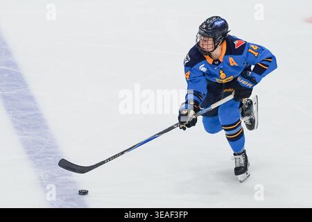 Toronto, Kanada. April 2026. Defenderin Ella Shelton #17 der Toronto Sceptres während eines Spiels gegen die Toronto Sceptres und New York Sirens im Coca-Cola Coliseum am 21. April 2026 in Toronto, Kanada. (Foto: Leonardo Ramirez/Eyepix Group/SIPA USA) Credit: SIPA USA/Alamy Live News Stockfoto