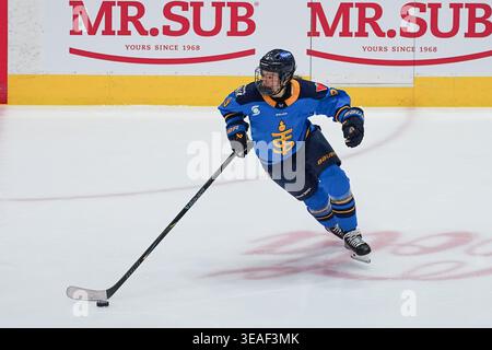 Toronto, Kanada. April 2026. Stürmer Daryl Watts #9 von Toronto Septres skettet mit dem Puck während des PWHL-Spiels zwischen Toronto Septres und New York Sirens im Coca-Cola Coliseum am 21. April 2026 in Toronto, Kanada. (Foto: Leonardo Ramirez/Eyepix Group/SIPA USA) Credit: SIPA USA/Alamy Live News Stockfoto