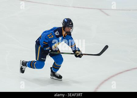 Toronto, Ontario, Kanada. April 2026. Defenderin Ella Shelton #17 der Toronto Sceptres während eines Spiels gegen die Toronto Sceptres und New York Sirens im Coca-Cola Coliseum am 21. April 2026 in Toronto, Kanada. (Kreditbild: © Leonardo Ramirez/eyepix via ZUMA Press Wire) NUR REDAKTIONELLE VERWENDUNG! Nicht für kommerzielle ZWECKE! Stockfoto