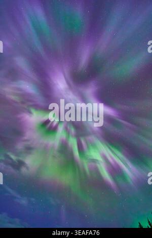 Lebhafte Nordlichter Aurora Borealis Lila und Grüner Winter Night Sky Stockfoto