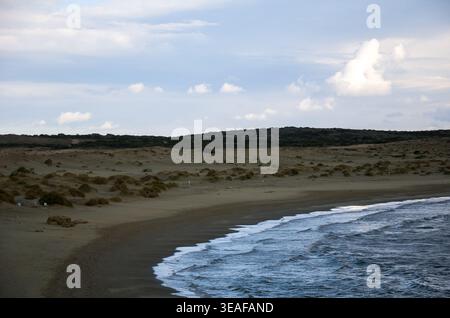 Küstenlandschaft mit Sandstrand und Vegetation Stockfoto