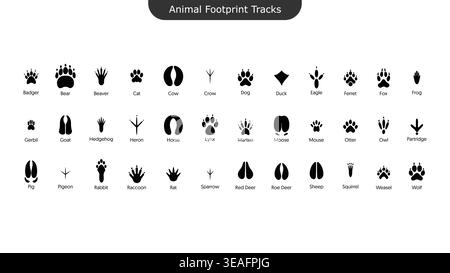 Tierfußabdrücke Tracks Icons Set Wildlife Paw Vogel Hufdruck Silhouette Vektor Kollektion Stock Vektor