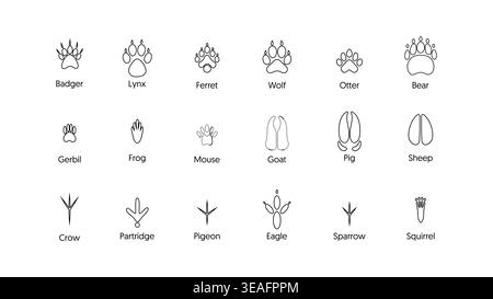 Animal Footprints Tracks Outline Icons Set Wildlife Paw Vogel Hufschlag Trace Print Collection Stock Vektor