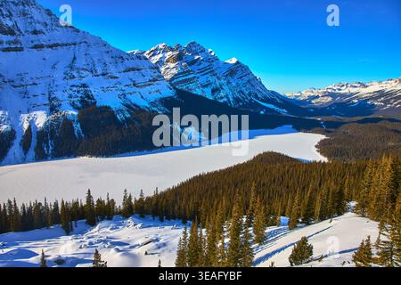 Der Peyto Lake ist im Winter gefroren, mit schneebedecktem Wald und den Rocky Mountains Alberta Stockfoto
