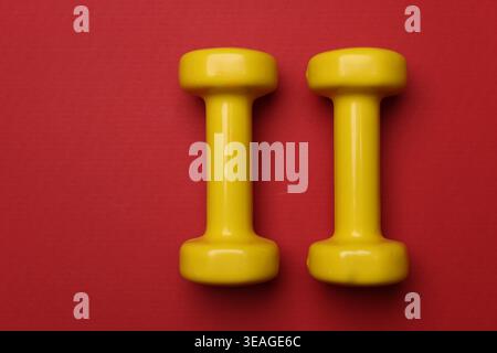 Zwei gelbe Kurzhanteln auf rotem Hintergrund, flach. Leerzeichen für Text Stockfoto