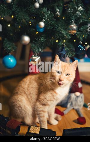 Ginger Tabby Katze sitzt unter einem geschmückten weihnachtsbaum mit Kugeln und warmen Feenlichtern in gemütlicher Wohnkultur, Urlaubsatmosphäre. Stockfoto