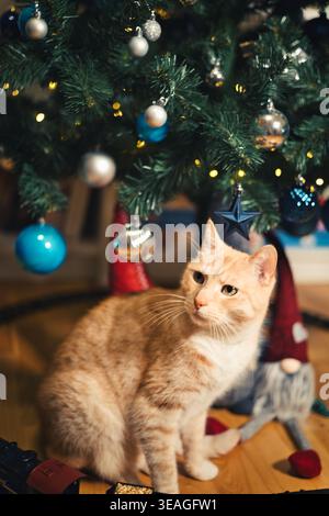 Ginger Tabby Katze sitzt unter einem geschmückten weihnachtsbaum mit Kugeln und warmen Lichtern drinnen, gemütliche festliche Weihnachtsszene, geringe Tiefe des Feldes Stockfoto