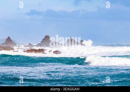 Große Wellen brechen über zerklüftete Küstenfelsen entlang der Wellington South Coast, Neuseeland, während rauer Seebedingungen. Stockfoto