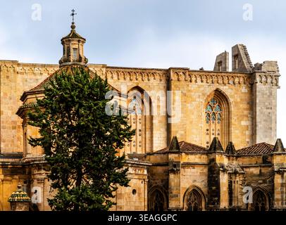 Historische Steinfassade der Kathedrale mit gotischen Fenstern und Glockenturm, teilweise versteckt von einem hohen immergrünen Baum unter bewölktem Himmel, europäische Architektur Stockfoto